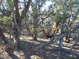 918 Wolf Road - Photo 9