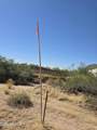 31602 Black Cross Road - Photo 15