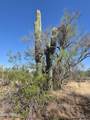 31602 Black Cross Road - Photo 9