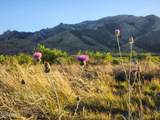 TBD Dreamcatcher Way - Photo 7