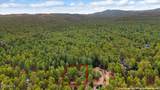 1028 Wagon Wheel Drive - Photo 50
