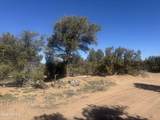 Lot 86 Witch Well Ranchos - Photo 16