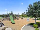 20549 Pummelos Road - Photo 79