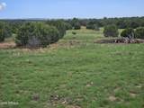 TBD Birdwing Lane - Photo 11