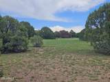 TBD Birdwing Lane - Photo 12