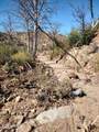 TBD Ranch Creek Road - Photo 18