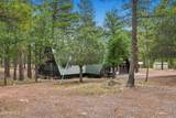 2421 Velvet Antler Trail - Photo 34