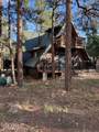 2421 Velvet Antler Trail - Photo 40