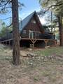 2421 Velvet Antler Trail - Photo 41