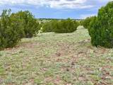 121, 125, 127 & 129 Co Rd 8051 4.14 Acre - Photo 10