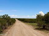 121, 125, 127 & 129 Co Rd 8051 4.14 Acre - Photo 11