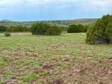 121, 125, 127 & 129 Co Rd 8051 4.14 Acre - Photo 12