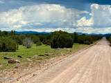 121, 125, 127 & 129 Co Rd 8051 4.14 Acre - Photo 15
