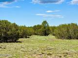 121, 125, 127 & 129 Co Rd 8051 4.14 Acre - Photo 16