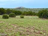 121, 125, 127 & 129 Co Rd 8051 4.14 Acre - Photo 3