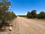 121, 125, 127 & 129 Co Rd 8051 4.14 Acre - Photo 9