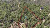 6010 Paso Bonito Trail - Photo 41
