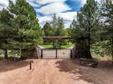 1613 Black Canyon Road - Photo 6