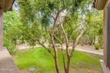 11680 Sahuaro Drive - Photo 33