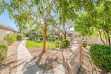 11680 Sahuaro Drive - Photo 38