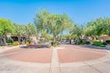11680 Sahuaro Drive - Photo 8