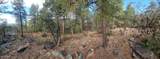 000 Sundown Lane Lane - Photo 4