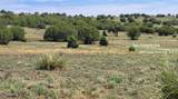 50400 Starship Trail - Photo 14