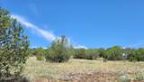 50400 Starship Trail - Photo 22