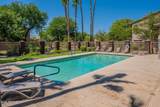 1129 Amandes - Photo 57