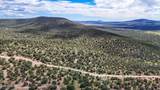 0 Elkhorn Pass 36 Acres - Photo 12