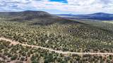 0 Elkhorn Pass 36 Acres - Photo 14