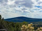 0 Elkhorn Pass 36 Acres - Photo 15
