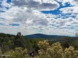 0 Elkhorn Pass 36 Acres - Photo 16