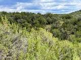 0 Elkhorn Pass 36 Acres - Photo 18