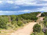 0 Elkhorn Pass 36 Acres - Photo 19