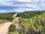 0 Elkhorn Pass 36 Acres - Photo 20