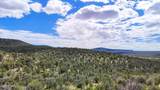 0 Elkhorn Pass 36 Acres - Photo 5