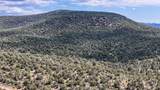 0 Elkhorn Pass 36 Acres - Photo 6