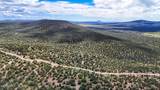 0 Elkhorn Pass 36 Acres - Photo 7