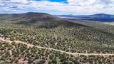 0 Elkhorn Pass 36 Acres - Photo 8