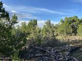 4897 Sunset Ridge Loop Loop - Photo 19
