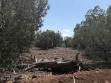 14 9 Shooter Terrace - Photo 10