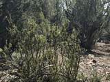 14 9 Shooter Terrace - Photo 14