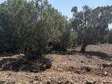 14 9 Shooter Terrace - Photo 15