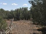14 9 Shooter Terrace - Photo 20