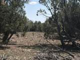 14 9 Shooter Terrace - Photo 21