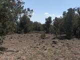 14 9 Shooter Terrace - Photo 9