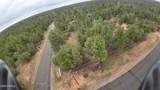 4199 Starlight Drive - Photo 8
