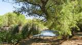 17506 Rancho Tierra Drive - Photo 94