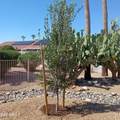 14514 Huron Drive - Photo 14